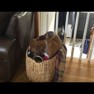 Meet your Posher, John